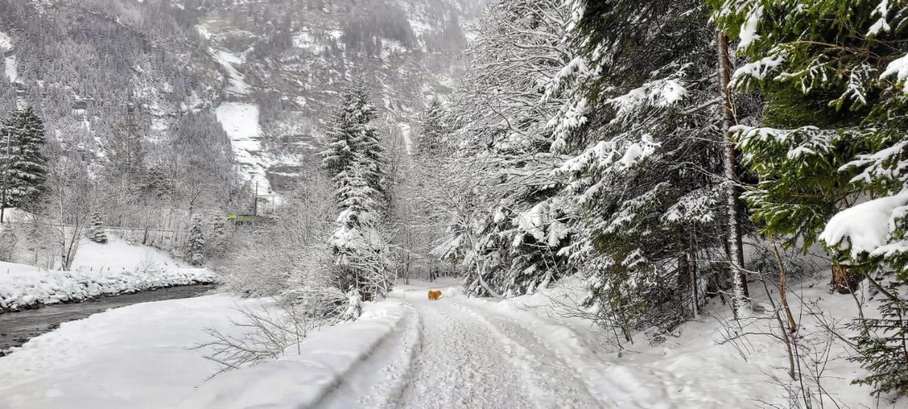 Bueelbad - Relax Apartment Kandersteg